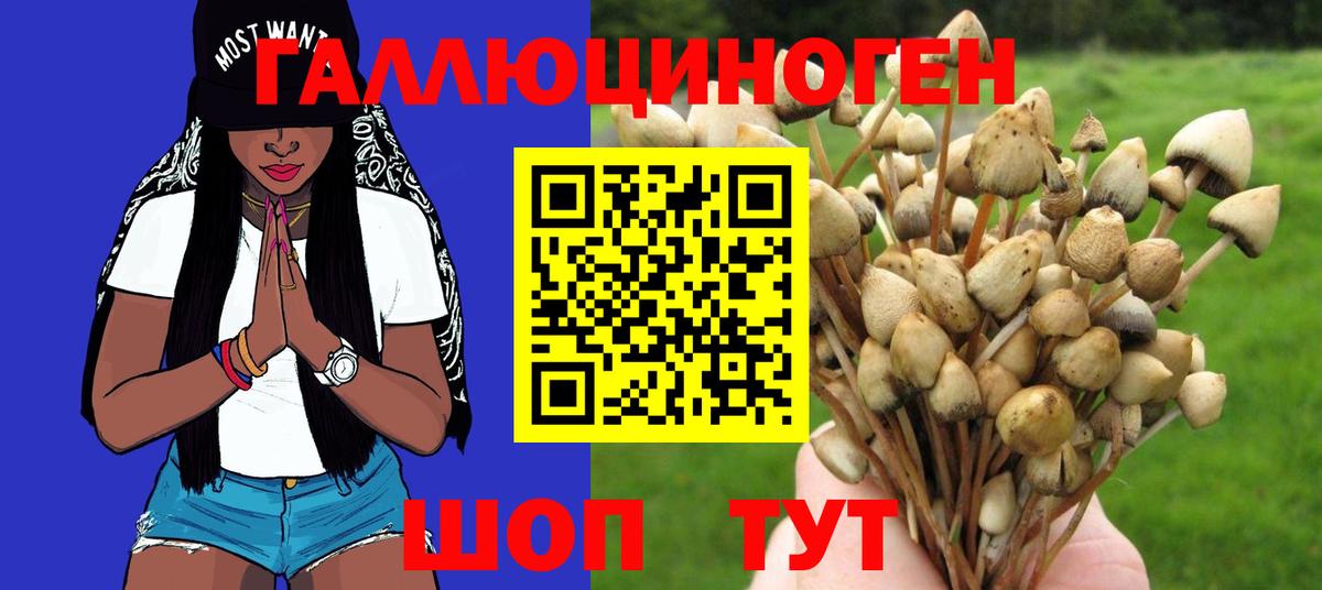 Галлюциногенные грибы Psilocybine cubensis  Вход с VPN  Псилоцибиновые грибы GOLDEN TEACHER  Сургут 